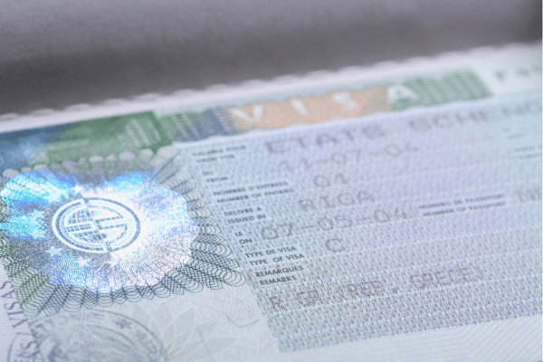 government visa